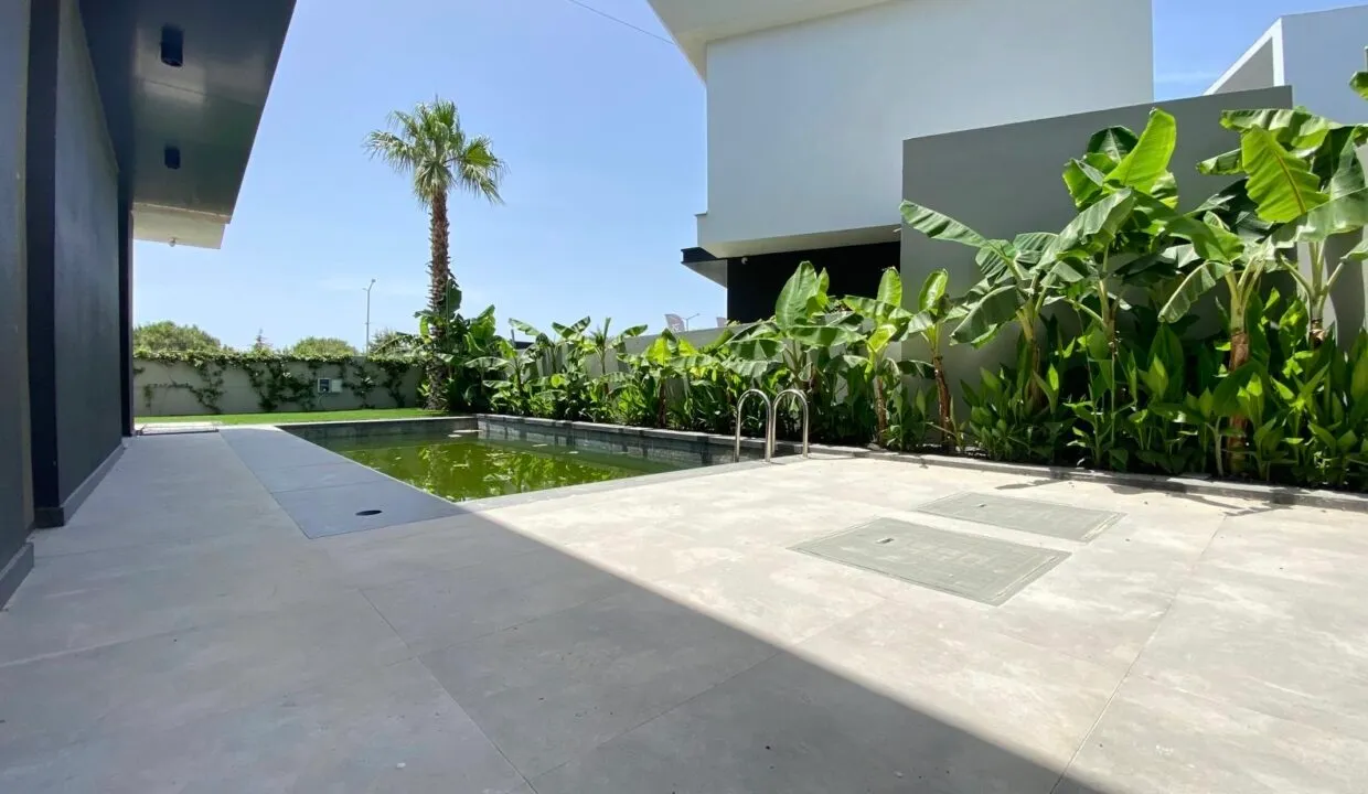 69962a0d-1fed-40f8-a54a-108a9d0e2036